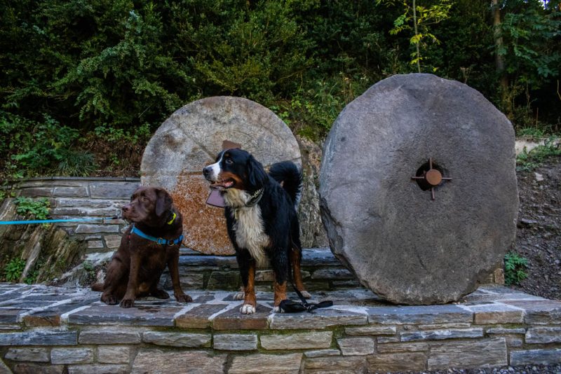 Perros posando delante escultura