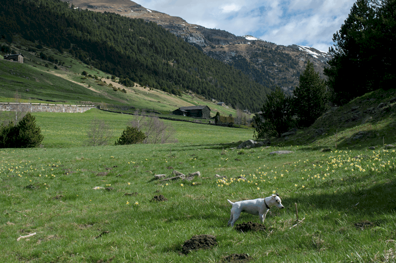 VALL D’INCLES