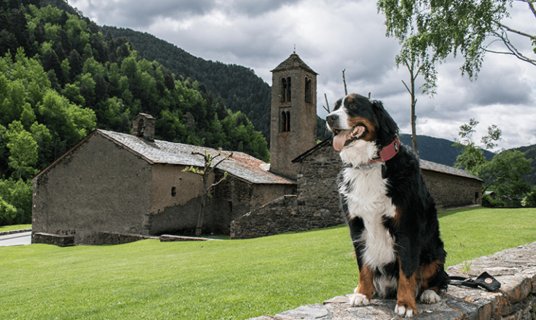 Ordino con perro – Guía turística de Andorra con perro