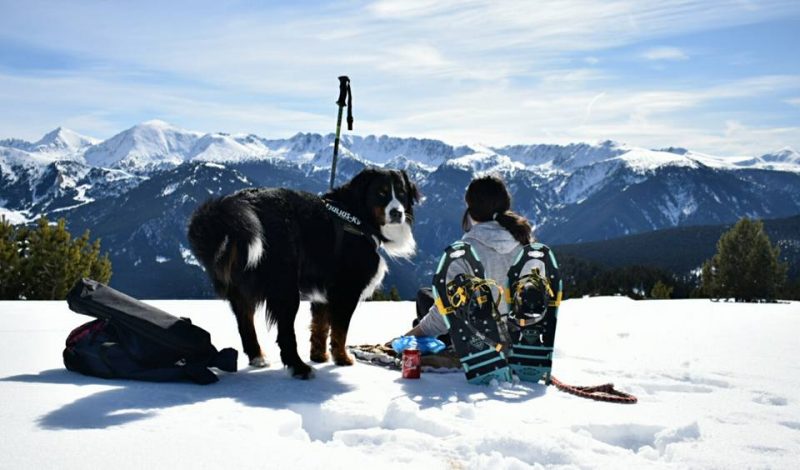 Chica y perro con montañas nevadas detras